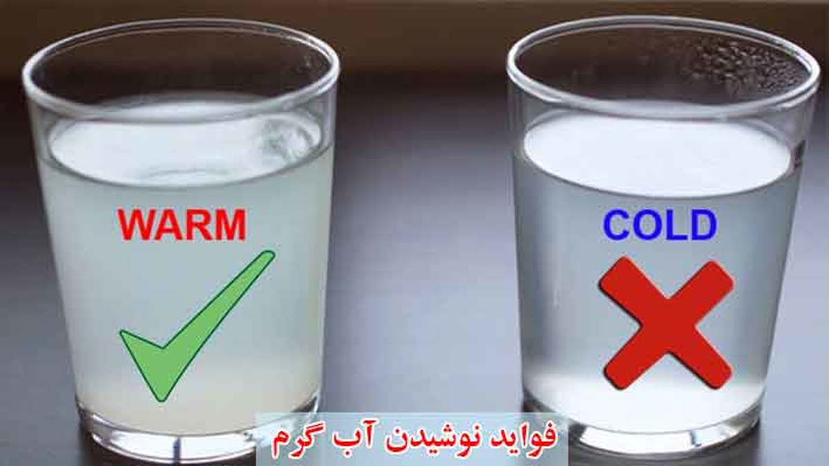 تاثیر نوشیدن آب گرم بر سلامت انسان